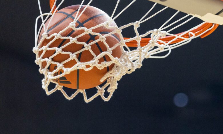 Norfolk State vs Hofstra Prediction 12-9-24 College Basketball Picks